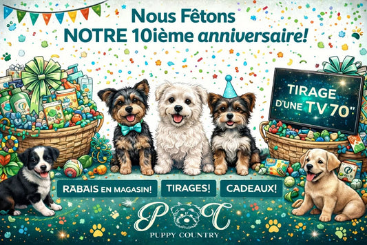 POP UP - 10e anniversaire Puppy Country