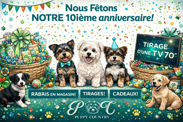 POP UP - 10e anniversaire Puppy Country