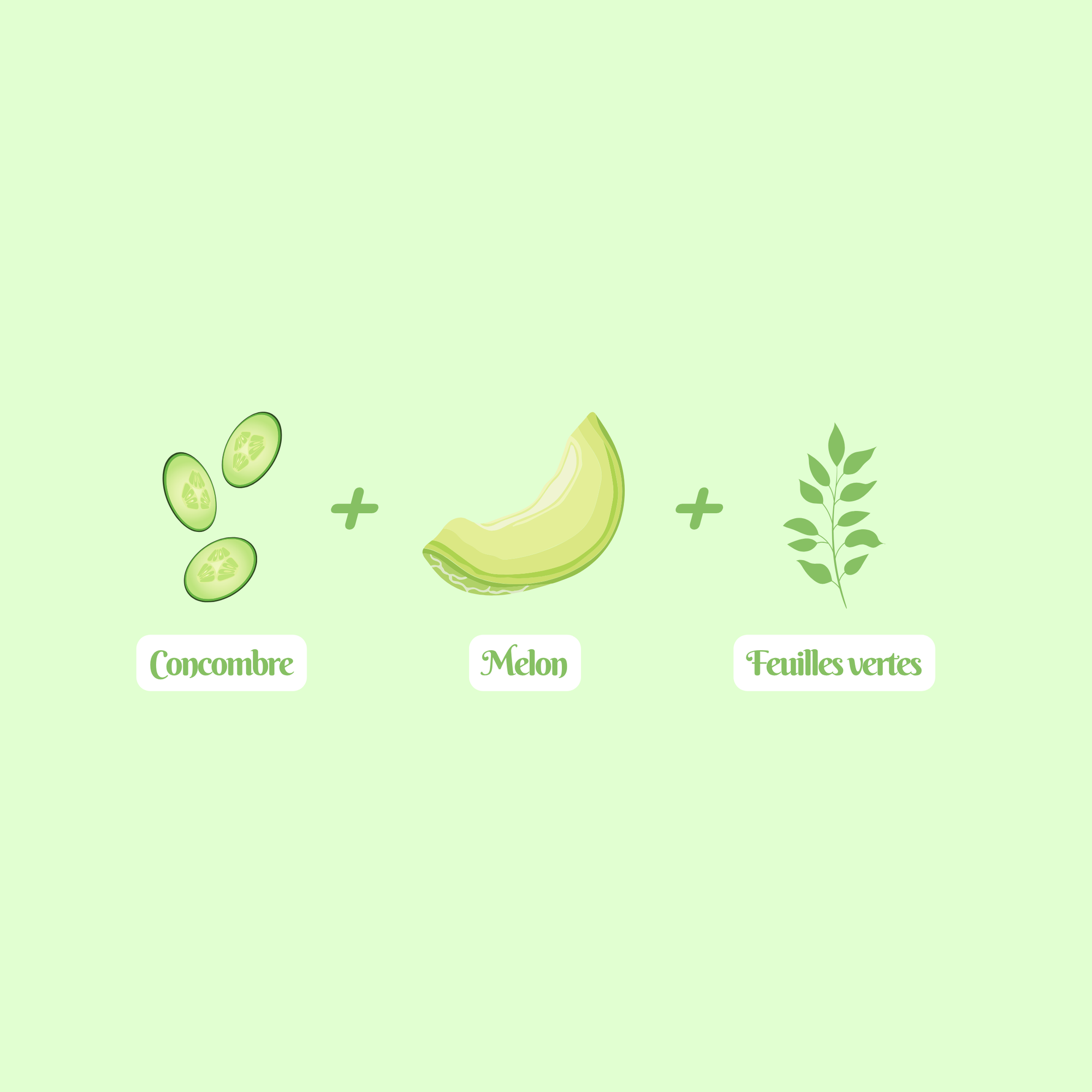 13 Fresh Cucumber